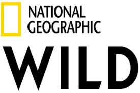 National Geographic Wild